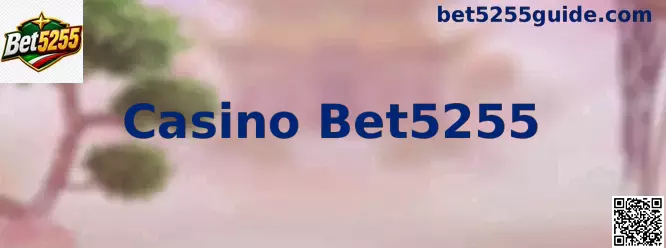Explicación visual de Casino Bet5255